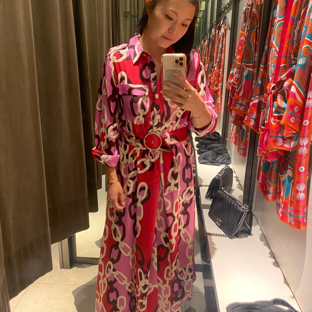 Zara Chain Print Pink Belted Dress
